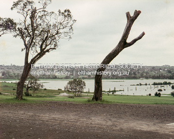 Slide, Floodwater, southwest from entrance of Rosanna Golf Club, Lower Plenty, November 1971, 1971