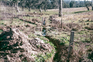 Slide, Looking westerly into Martins property, Lower Plenty, 18 July 1972, 1972