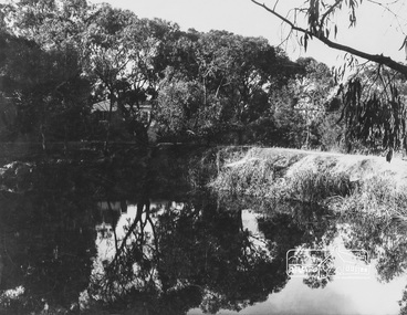 Photograph, George W. Bell, Peck's Pool, Eltham, c.1955, 1955c