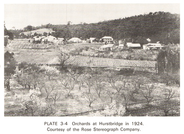 Work on paper (Sub-Item) - Photograph, Orchards at Hurstbridge, 1924