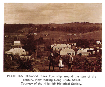 Work on paper (Sub-Item) - Photograph, View along Chute Street, Diamond Creek township, about 1901