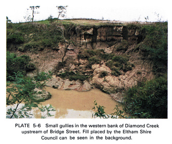 Work on paper (Sub-Item) - Photograph, Small gullies in the western bank of Diamond Creek upstream of Bridge Street, Eltham