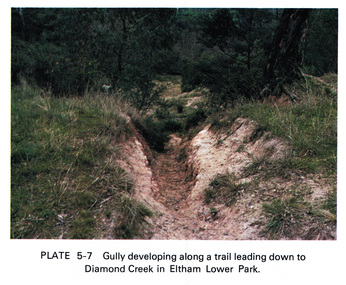 Work on paper (Sub-Item) - Photograph, Gully developing along a trail leading down to the Diamond Creek in Eltham Lower Park