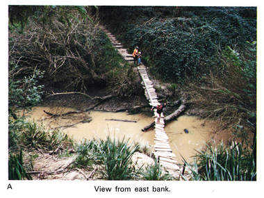 Work on paper (Sub-Item) - Photograph, Home-made footbridge across Diamond Creek, opposite Gum Glade, Eltham