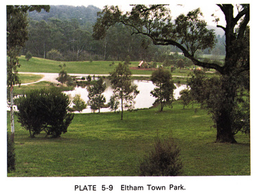 Work on paper (Sub-Item) - Photograph, Eltham Town park