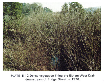 Work on paper (Sub-Item) - Photograph, Dense vegetaton lining the Eltham West Drain downstream of Bridge Street in 1976, 1976