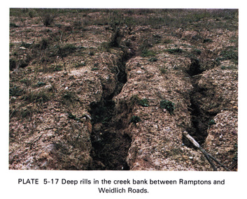 Work on paper (Sub-Item) - Photograph, Deep rills in the creek bank between Rampstons and Weidlich Roads