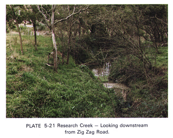 Work on paper (Sub-Item) - Photograph, Research Creek, looking downstream from Zig Zag Road