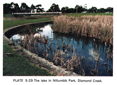 Work on paper (Sub-Item) - Photograph, The Lake in Nillumbik Park, Diamond Creek, 1976