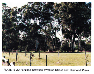 Work on paper (Sub-Item) - Photograph, Parkland between Watkins Street and Diamond Creek, 1976