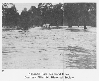 Work on paper (Sub-Item) - Photograph, Nillumbik Park, Diamond Creek