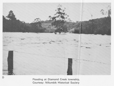 Work on paper (Sub-Item) - Photograph, Flooding at Diamond Creek Township