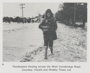 Work on paper (Sub-Item) - Photograph, Floodwaters flowing across Main Hurstbridge Road, Diamond Creek Township, 8 April 1977
