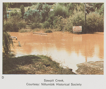 Work on paper (Sub-Item) - Photograph, Sawpit Creek in flood, Diamond Creek Township, 8 April 1977
