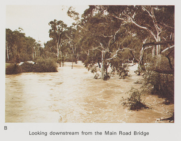 Work on paper (Sub-Item) - Photograph, Flooding, looking downstream from Main Road Bridge, Eltham  8 April 1977