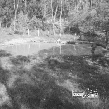 A girl sits on hte edge of a dam filled with water surrounded by grass and bush