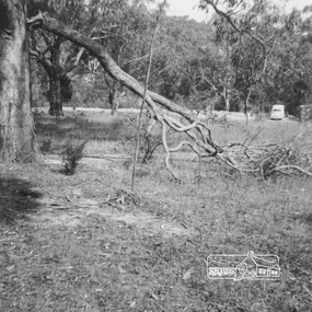 bush block