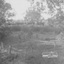 View of bush block with young trees and dam in the foreground.  Flat roofed house in the distance