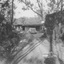 Two VW Beetles parked in front of the bricked house at the end of a dirt drive way surrounded by trees. 