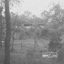 A flat roofed one story bric k house sits on a rise in the background surrounded by bush.  The foreground of the photo is relatively cleared of bush