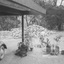 Rear view of boy riding a two wheeler bike with training wheels on the hard dirt surface near the driveway at the front of the property.  There are plants in containers and big pile of bricks along the side of the drive way.