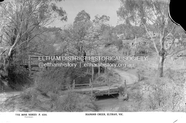 Negative - Photograph, The Rose Stereograph Company, Diamond Creek, Eltham, Vic, c.1919