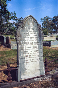 Negative - Photograph, Harry Gilham, Grave of Myles Archibald Lyons and children, Eltham Cemetery, Victoria, Sep 2009