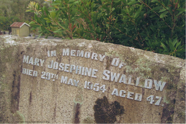 Document - Folder, Swallow, 2009-2010