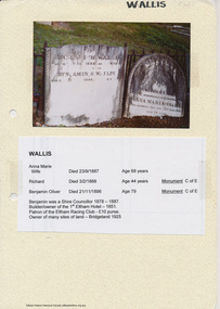 Document - Folder, Wallis, 2009-2010