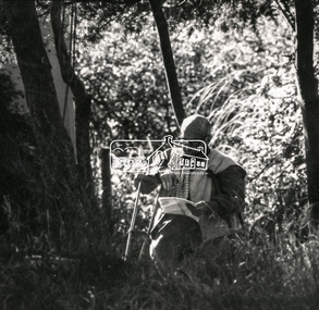 Photograph, Alan Marshall - Author of 'Pioneers & Painters', 30 Nov 1970