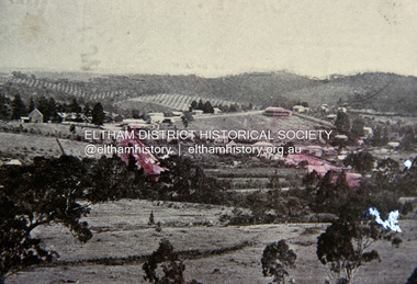 Slide, View overlooking Diamond Creek, 1907