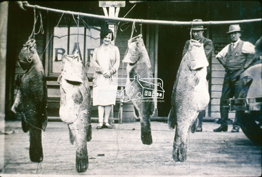 Slide, Fish caught in Yarra being shown outside Kangaroo Ground Hotel, c.1920