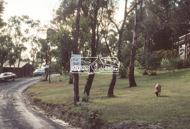 Slide, Belmont Crescent, Montmorency, c. Mar. 1981