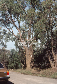 Slide, Bonds Road, Lower Plenty, Mar. 1981