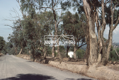 Slide, Bonds Road, Lower Plenty, Mar. 1981