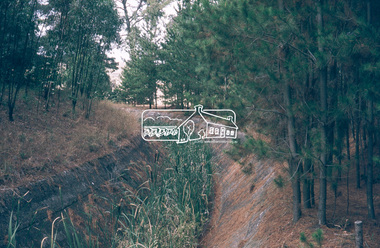Slide, Maroondah Aqueduct, Research, Victoria, 22 Mar. 1981