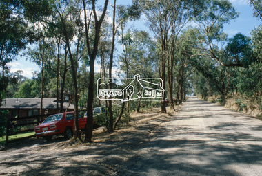 Slide, Beard Street, Eltham, Nov. 1981