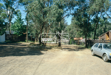 Slide, Andrews Street, Eltham, Nov. 1981