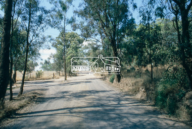 Slide, Beard Street, Eltham, Nov. 1981