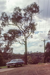Photograph, Andrews Street, Eltham, Dec. 1980