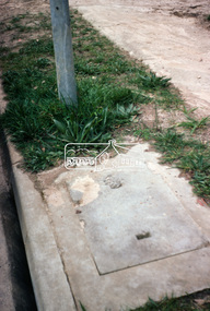 Photograph, Foothpath and kerb damage, Bainbridge Drive, Eltham, 3 Sep 1981