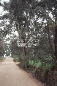 Photograph, Beard Street, Eltham, 3 Sep 1981