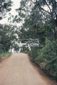 Photograph, Beard Street, Eltham, 3 Sep 1981