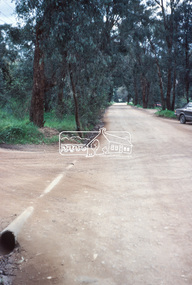 Photograph, Beard Street, Eltham, 3 Sep 1981