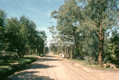 Slide, Quinn Estate, Buena Vista Drive, Montmorency, 15 Sep. 1982