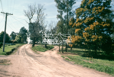 Slide, Quinn Estate, McCarthy Grove, Montmorency, 15 Sep. 1982