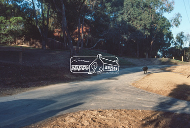 Slide, Quinn Estate, Sackville Street, Montmorency, May 1983