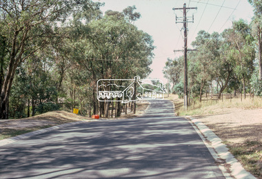 Photograph, Frank Street, Eltham, c.Mar. 1985