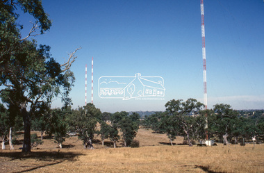 Slide - Photograph, Red Gums, Stawell Road, Lower Plenty, c. 1988