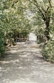 Slide - Photograph, Dalton Street Lane, Eltham, c. Feb. 1989